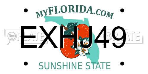 EXHJ49 Florida License Plate
