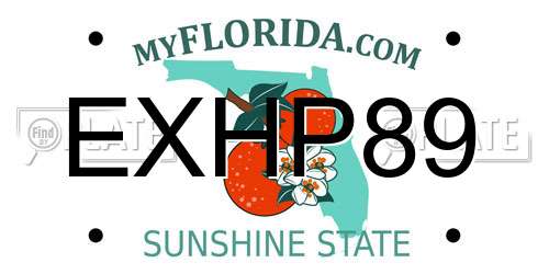 EXHP89 Florida License Plate