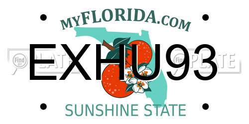 EXHU93 Florida License Plate