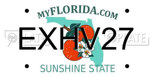 EXHV27 Florida License Plate