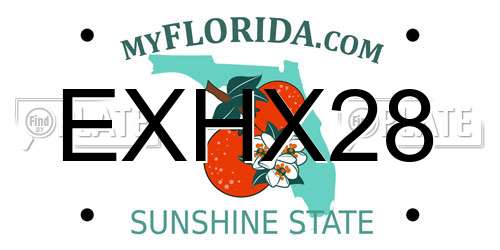 EXHX28 Florida License Plate