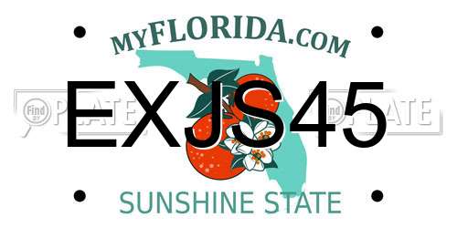EXJS45 Florida License Plate