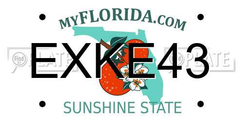 EXKE43 Florida License Plate