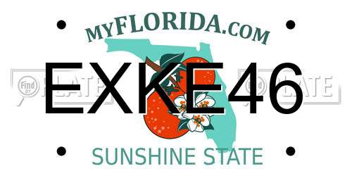 EXKE46 Florida License Plate