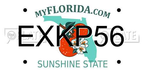 EXKP56 Florida License Plate