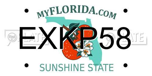 EXKP58 Florida License Plate