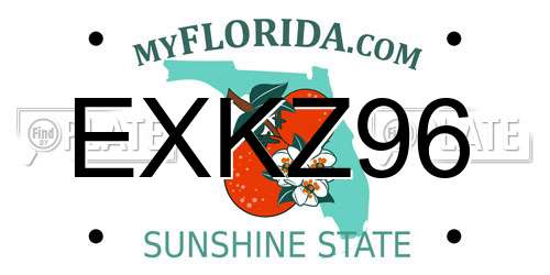 EXKZ96 Florida License Plate