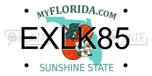EXLK85 Florida License Plate