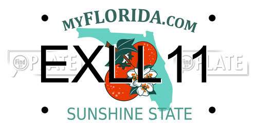 EXLL11 Florida License Plate