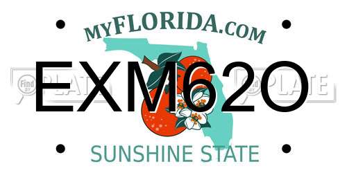 EXM62O Florida License Plate