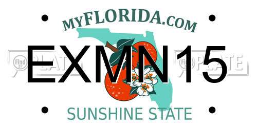 EXMN15 Florida License Plate