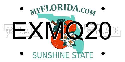 EXMQ20 Florida License Plate