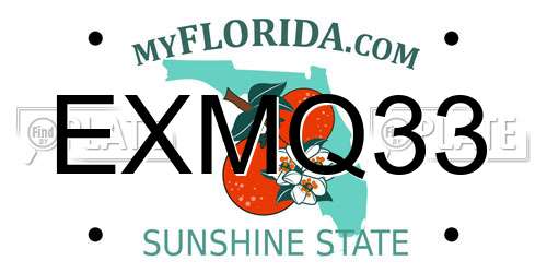EXMQ33 Florida License Plate