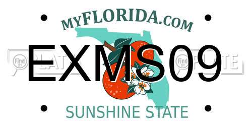 EXMS09 Florida License Plate