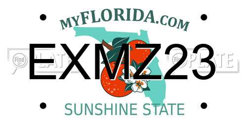 EXMZ23 Florida License Plate