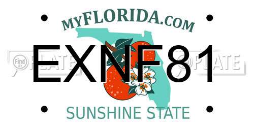 EXNF81 Florida License Plate