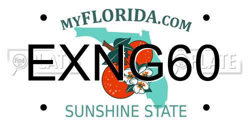 EXNG60 Florida License Plate