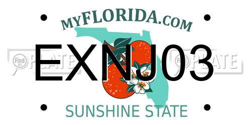 EXNJ03 Florida License Plate