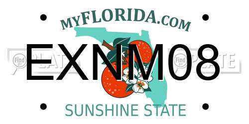 EXNM08 Florida License Plate