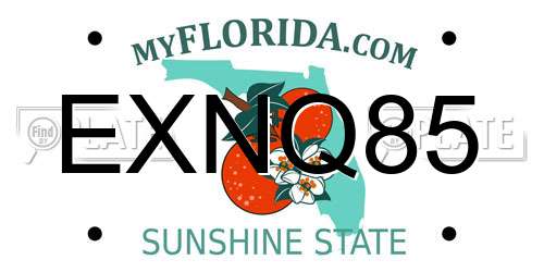 EXNQ85 Florida License Plate