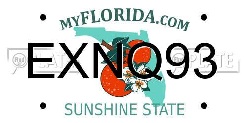 EXNQ93 Florida License Plate