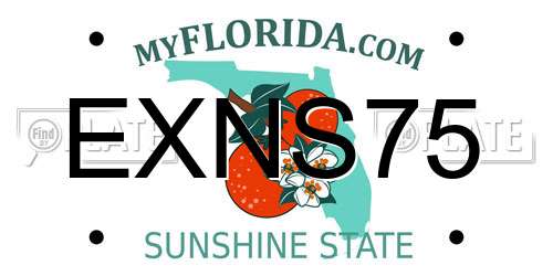 EXNS75 Florida License Plate
