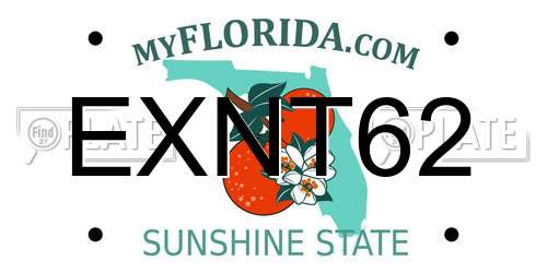 EXNT62 Florida License Plate