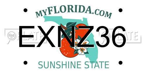 EXNZ36 Florida License Plate