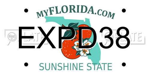 EXPD38 Florida License Plate