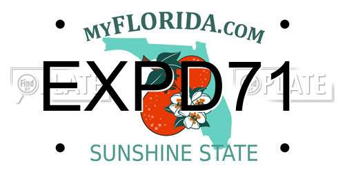 EXPD71 Florida License Plate