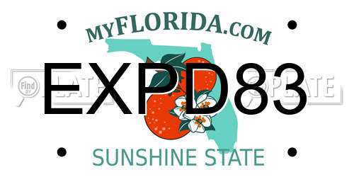 EXPD83 Florida License Plate