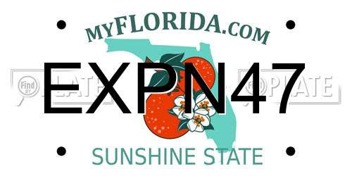 EXPN47 Florida License Plate