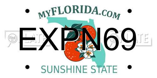 EXPN69 Florida License Plate