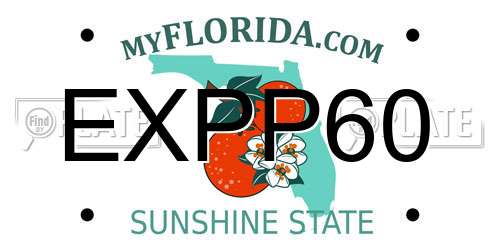 EXPP60 Florida License Plate