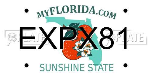 EXPX81 Florida License Plate