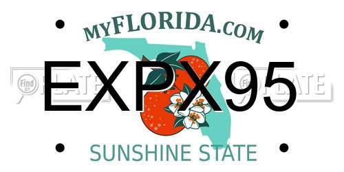 EXPX95 Florida License Plate