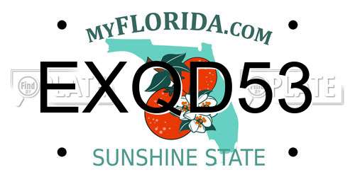 EXQD53 Florida License Plate