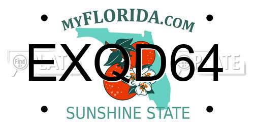 EXQD64 Florida License Plate
