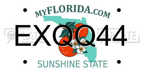 EXQQ44 Florida License Plate
