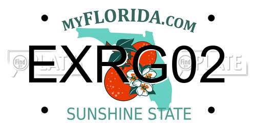 EXRG02 Florida License Plate