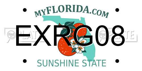 EXRG08 Florida License Plate