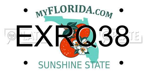 EXRQ38 Florida License Plate