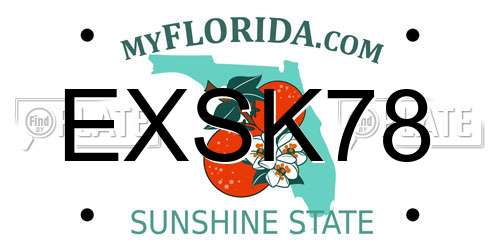 EXSK78 Florida License Plate