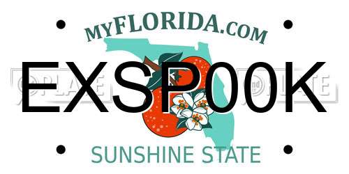 EXSP00K Florida License Plate