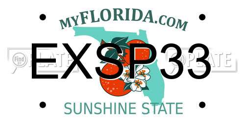EXSP33 Florida License Plate