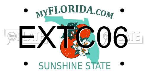 EXTC06 Florida License Plate