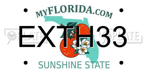 EXTH33 Florida License Plate