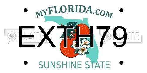 EXTH79 Florida License Plate