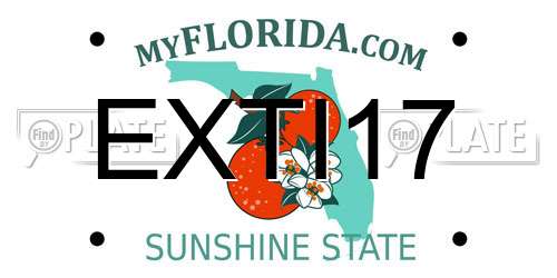 EXTI17 Florida License Plate