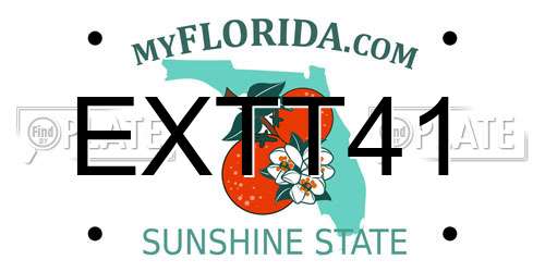 EXTT41 Florida License Plate